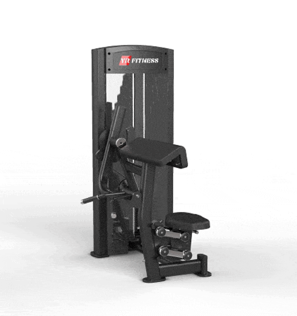 YR Fitness 61A10 二頭肌彎舉器